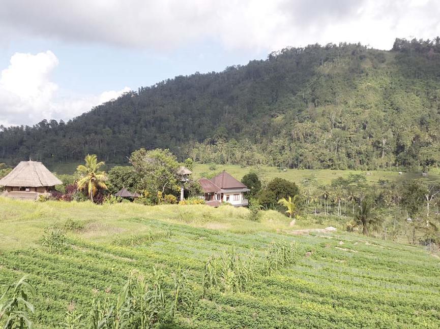 Embang Homestay Sidemen  Eksteriør bilde